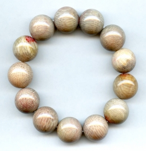 coral fossil beads