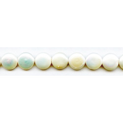 Freshwater Pearl Coin 13-14mm Coin