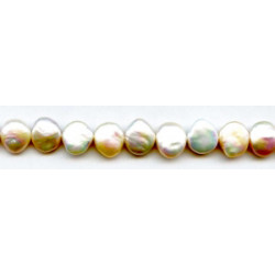 Freshwater Pearl Coin 12mm Coin