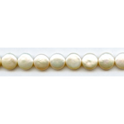 Freshwater Pearl Coin 13mm Coin