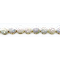 Freshwater Pearl Coin 14mm Coin