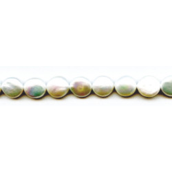 Freshwater Pearl Coin 13x Baroque Coin