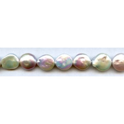 Freshwater Pearl Coin 12-14mm Coin