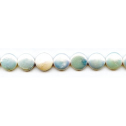 Freshwater Pearl Coin 13-14mm Coin