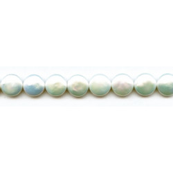 Freshwater Pearl Coin 12-13mm Coin