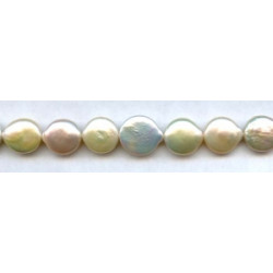 Freshwater Pearl Coin 12-14mm Coin