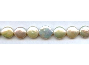 Freshwater Pearl Coin 12-14mm Coin