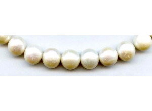 Freshwater Pearl Potato 11-13mm Potato