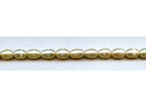 Freshwater Pearl Rice 7x9mm Rice