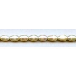 Freshwater Pearl Rice 9x13mm Rice