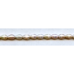 Freshwater Pearl Rice 7x10mm Rice
