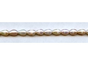 Freshwater Pearl Rice 7x10mm Rice