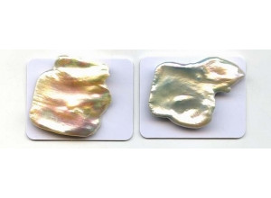 Freshwater Pearl Fancy 22-29x Undrilled Loose Piece