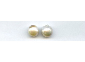 Freshwater Pearl Fancy Fancy 12-14x Undrilled Loose Baroque