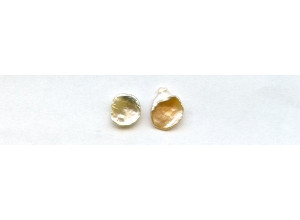 Freshwater Pearl Fancy 11mm Undrilled Loose Petal