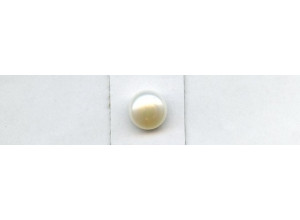 Freshwater Pearl 13mm Half-drilled Button