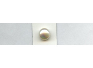 Freshwater Pearl 12.5mm Undrilled Button