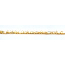 Freshwater Pearl SD 4mm Side-drilled