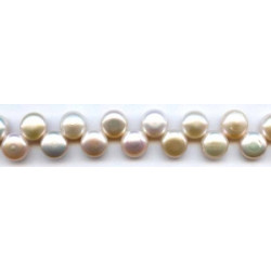 Freshwater Pearl Drop 10mm Button