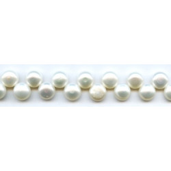 Freshwater Pearl Drop 10-11mm Button