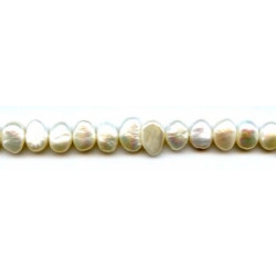 Freshwater Pearl SD 12x8 Side-drilled