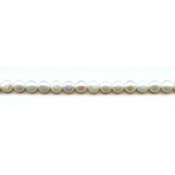 Freshwater Pearl SD 7-7.5mm Button