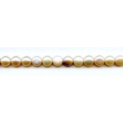 Freshwater Pearl SD 8-8.5mm Button
