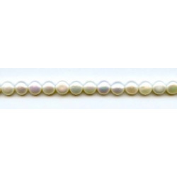 Freshwater Pearl SD 8mm Button
