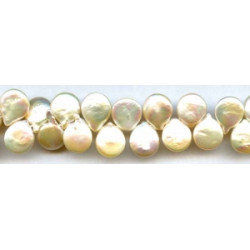 Freshwater Pearl Drop 14mm Coin Drop
