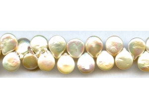 Freshwater Pearl Drop 14mm Coin Drop