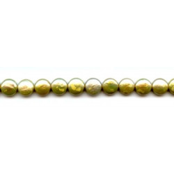 Freshwater Pearl Coin 10mm Coin