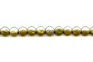 Freshwater Pearl Coin 10mm Coin