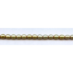 Freshwater Pearl Rice 6x7mm Rice