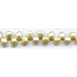 Freshwater Pearl Drop 11x9 Button