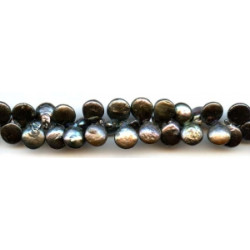 Freshwater Pearl Drop 12mm Coin Drop