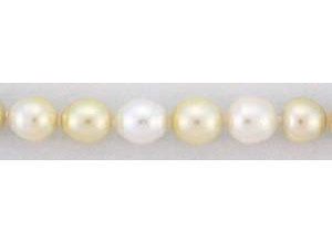 Golden South Sea Pearl 10.9-14mm Off-Round