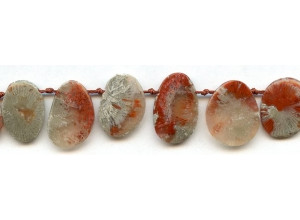 Red Horn Jasper 15-22x Fancy Drop