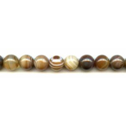 Brown Banded Agate 12mm Round