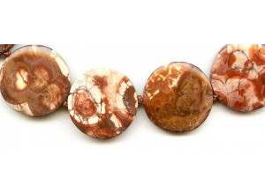 Bird Eye Agate 26-28mm Dime