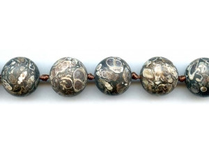 Matte Turritella Agate 19mm Round