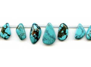 Chinese Turquoise 13-22x Fancy Drop