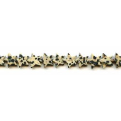 Dalmatian Jasper 12mm Star