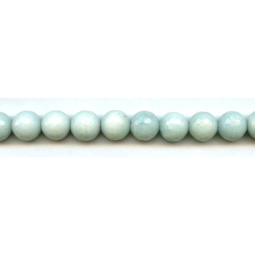 133-1653 Amazonite <br>12mm Faceted Round