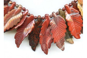 Apple Jasper 38-46x Leaf Drop