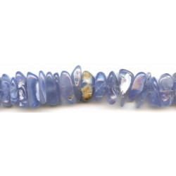 Blue Chalcedony 15x Chips