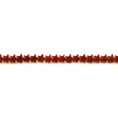 153-1553 Carnelian <br>7mm Star