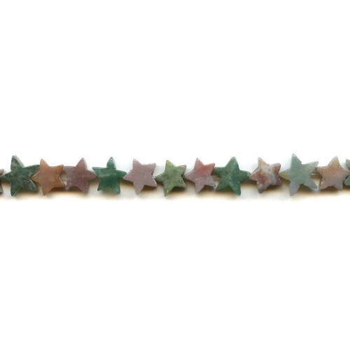 161-1184 Fancy Jasper <br>10mm Star