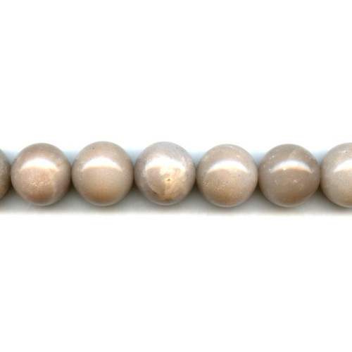 179-1160 Peach Moonstone <br>18mm Round