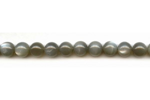 Gray Moonstone 10mm Round