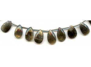 Gray Moonstone 12-15x Flat Pear Briolette